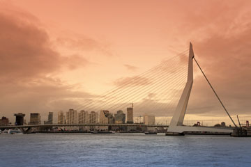 Holland's Erasmus Bridge resembles a harp with its cable-stayed construction.